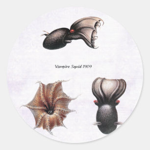 Pegatina Vampire Squid