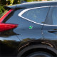 Pegatina Van los coches eléctricos de la impulsión verde (Car Back)