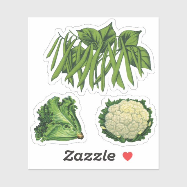 Pegatina Vegetales Vintage Granos verdes Lettuce Cauliflowe (Hoja)