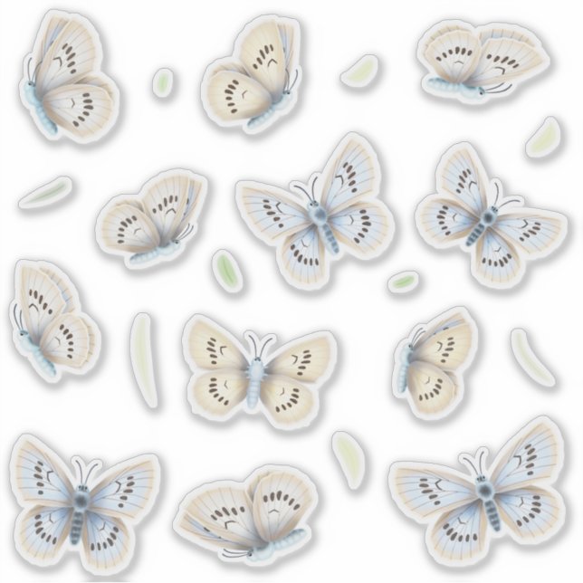 Pegatina Ventana transparente y espejado de mariposas de bo (Anverso)