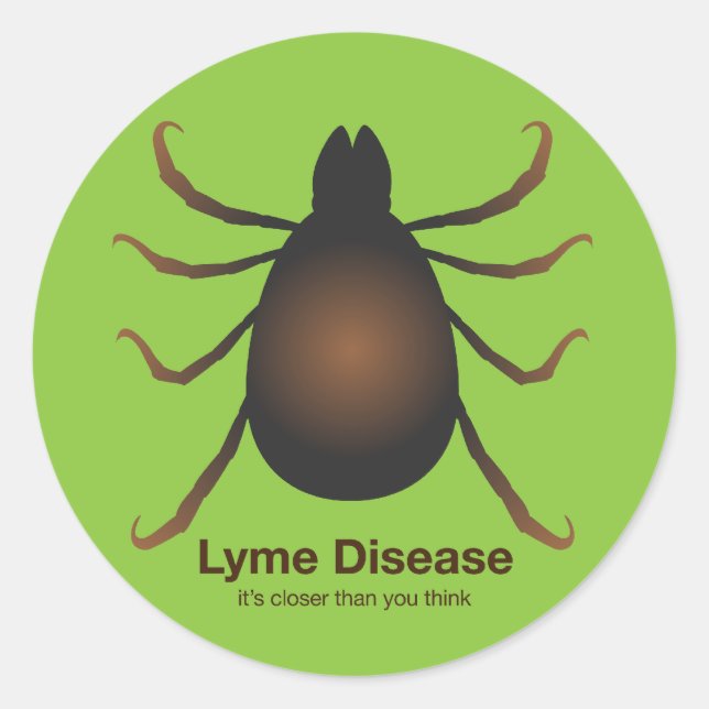 Pegatina Verde de vecino (Anverso)