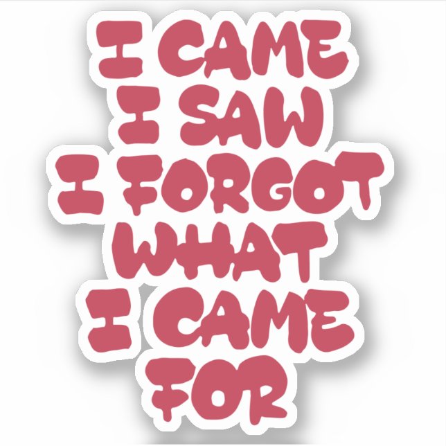 Pegatina Vine, vi, olvidé por qué vine (Anverso)