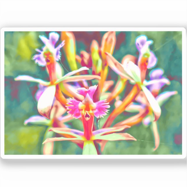 Pegatina vinílico de flores peruanas (Anverso)