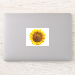 pegatina vinílico de girasol