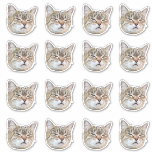 Pegatina Vinilo impermeable con foto personalizada (Anverso)