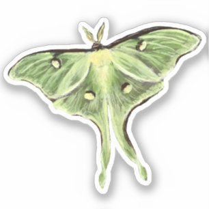 Pegatina Vinilo Luna Moth