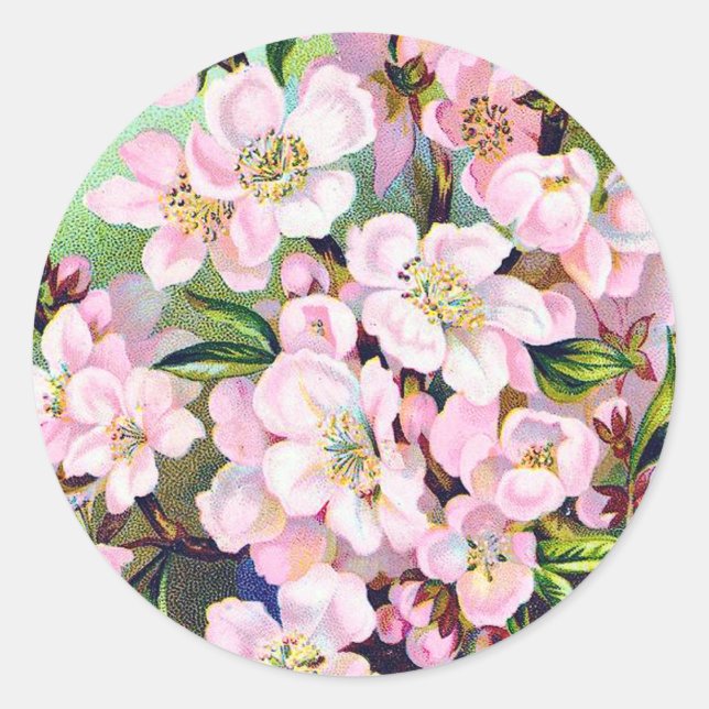 Pegatina Vintage Apple Blossoms (Anverso)
