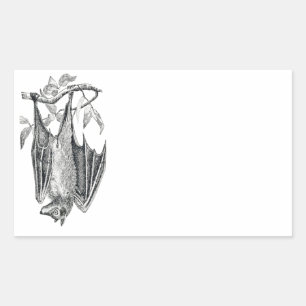 Pegatina Vintage Bat