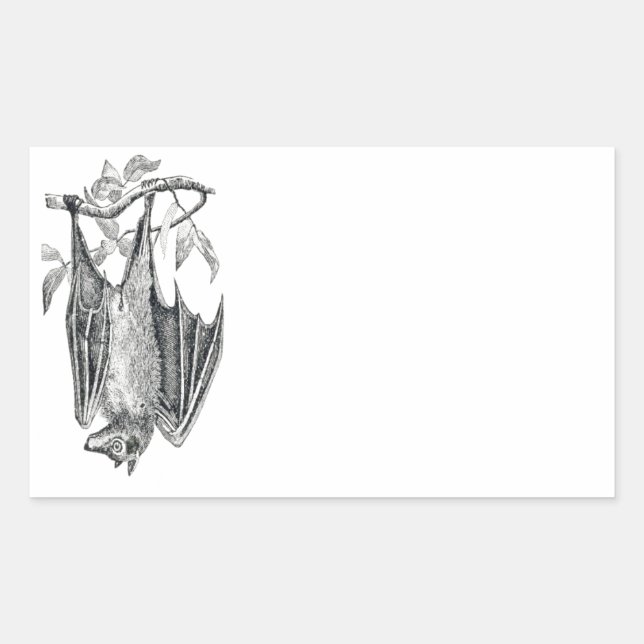 Pegatina Vintage Bat (Anverso)