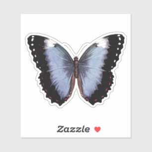 Pegatina Vintage Butterfly Vinyl
