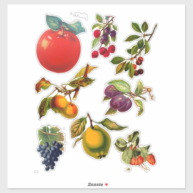 Pegatina Vintage Fruit Garden Ilustraciones botánicos de ar (Hoja)