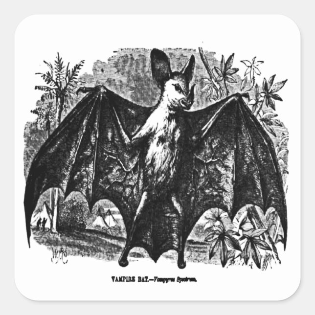 Pegatina Vintage Vampire Bat (Anverso)