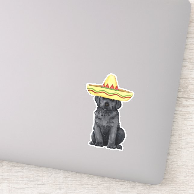 Pegatina Vinyl de Fiesta Black Lab (Detalle)