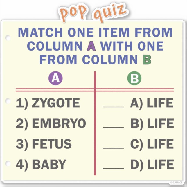 Pegatina Vinyl sticker with a quiz. (Anverso)