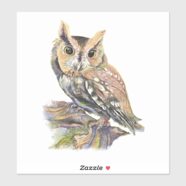 Pegatina Watercolor Screech Owl Bird Naturaleza Art (Hoja)