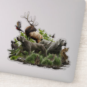 Pegatina Weimaraner, "Fantasma gris"