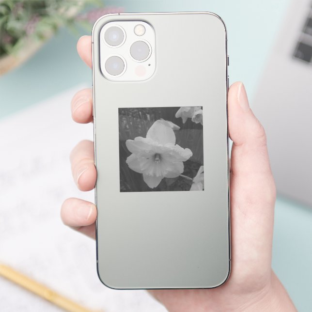 Pegatina Wild Daffodil (Teléfono)