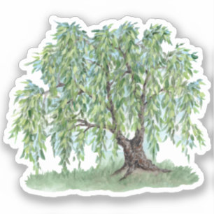 Pegatina Willow Vinyl lloroso