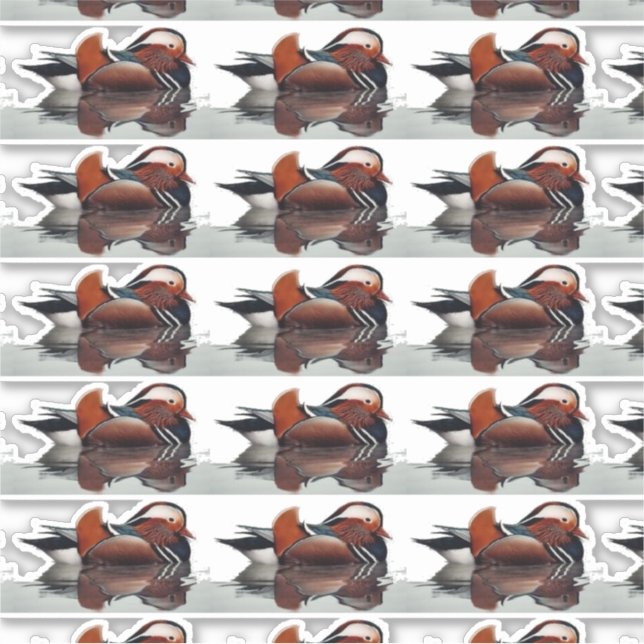 Pegatina Wood Duck Thunder_Cove (Anverso)