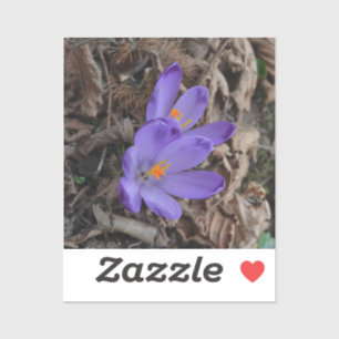 Pegatina Woodland Crocus