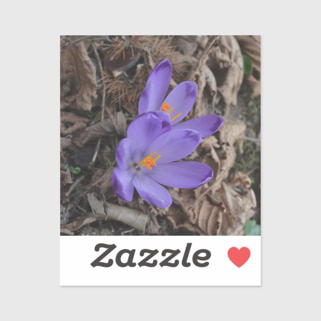 Pegatina Woodland Crocus (Hoja)
