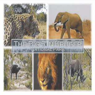 PEGATINA ZA * SUDÁFRICA - LOS 5 GRANDES EN KRUGER N. P.