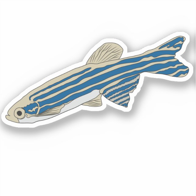 Pegatina Zebrafish (Anverso)