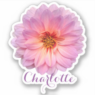 Pegatina Zinnia Rosa con Nombre Personalizado