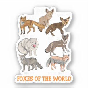 Pegatina Zorros Del Mundo Cosas Divertidas De Zorros Animal