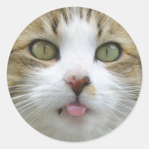 Pegatinas 002 del lirio