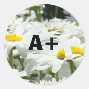 Pegatinas A+ Estudiantes Calificación Profesores E