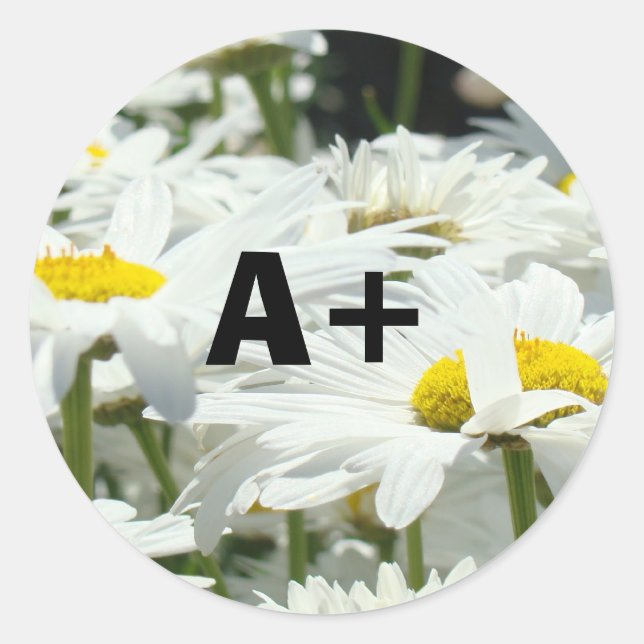 Pegatinas A+ Estudiantes Calificación Profesores E (Anverso)