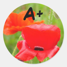 Pegatinas A+ Flores de amapola roja Pegatina Niños