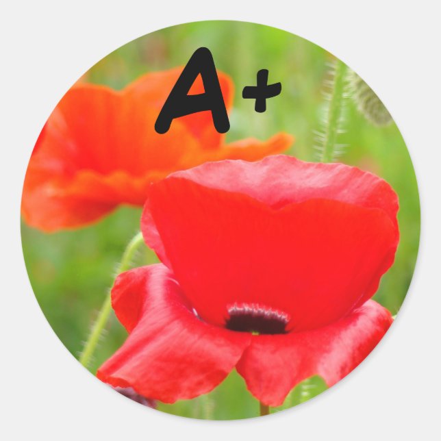 Pegatinas A+ Flores de amapola roja Pegatina Niños (Anverso)