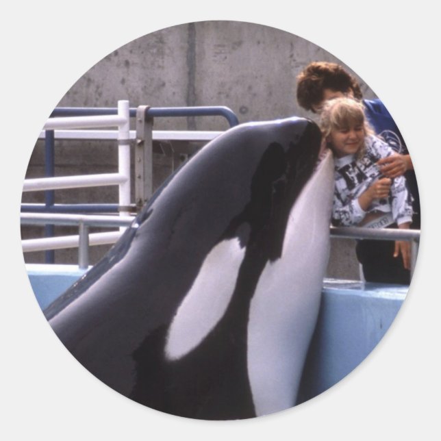 Pegatinas acuáticos (Anverso)