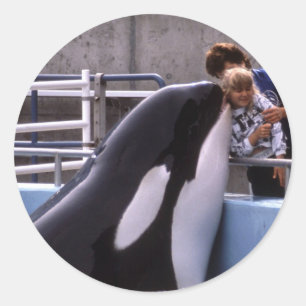 Pegatinas acuáticos