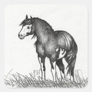 Pegatinas adorables del caballo de la pintura