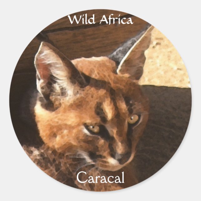 Pegatinas AFRICANOS CARACALES de Fauna Silvestre (Anverso)