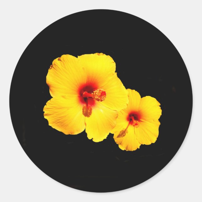 Pegatinas amarillos de Hibiscus (Anverso)
