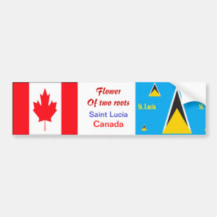 Pegatinas antiparachoques de Santa Lucía y el Cana