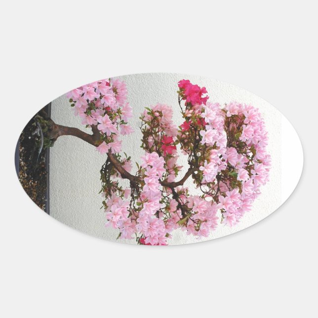 Pegatinas arbóreos rosados de Bonsai (Anverso)