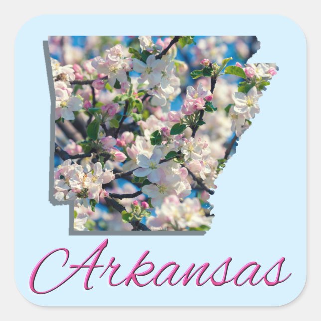 Pegatinas - ARKANSAS (Anverso)