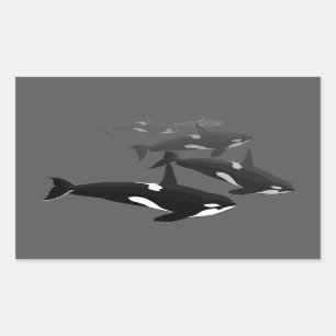 Pegatinas asesinos de arte de ballenas Pegatinas d