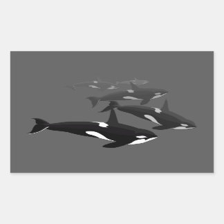 Pegatinas asesinos de arte de ballenas Pegatinas d