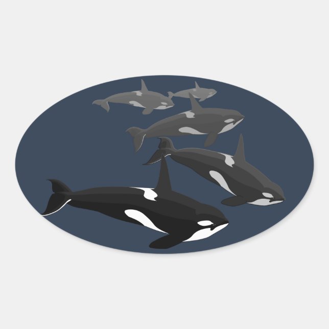 Pegatinas asesinos de ballenas para Pegatinas orca (Anverso)
