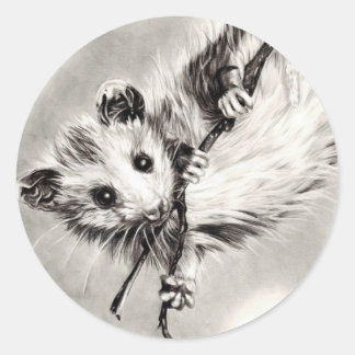 Pegatinas Baby Opossum