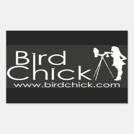 Pegatinas Birdchick