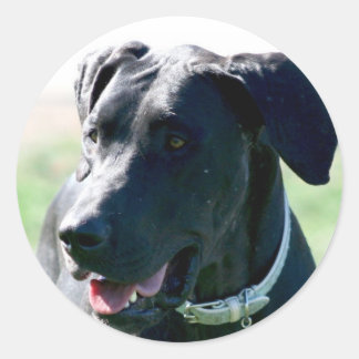 Pegatinas Black Great Dane