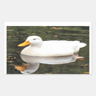 Pegatinas blancos del pato