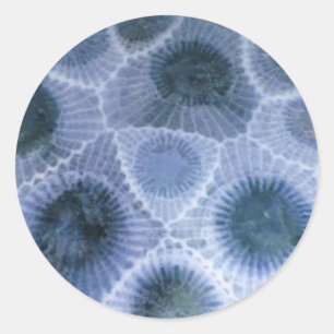 Pegatinas Blue Gray Petoskey Stone